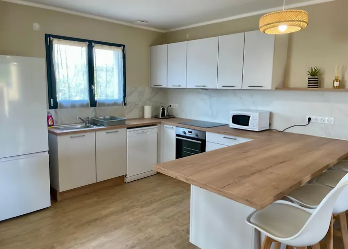 Avec Piscine Privée Venzolasca