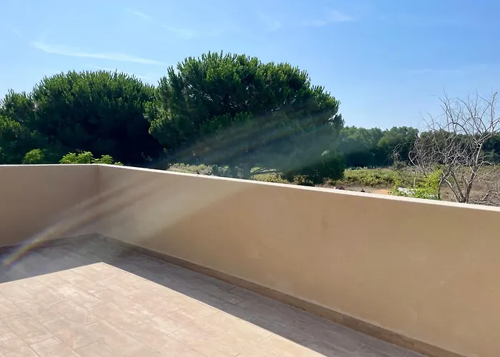 Avec Piscine Privée * Venzolasca