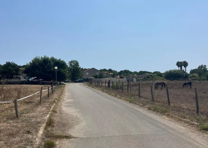 Avec Piscine Privée * Venzolasca